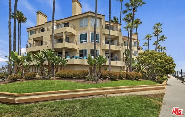 a view of a potted plants on a sidewalk