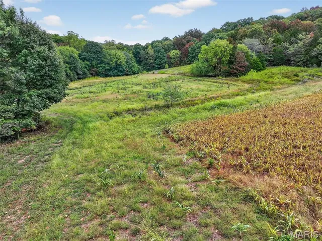 $200,000 | 10-ac Lot4 10-ac Lot4 Circle, Marthasville, MO 63357