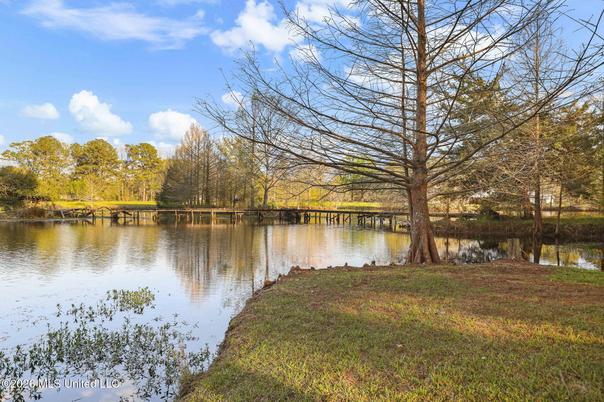 185 West Neal Road Florence, MS 39073 - Photo 4 of 77 72-web-or-mls-185 Neal Rd W-72