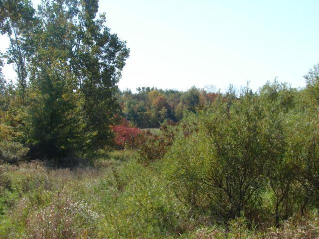 Spotts Road Pittsford, MI 49271 - Photo 3 of 10 Additional Photo