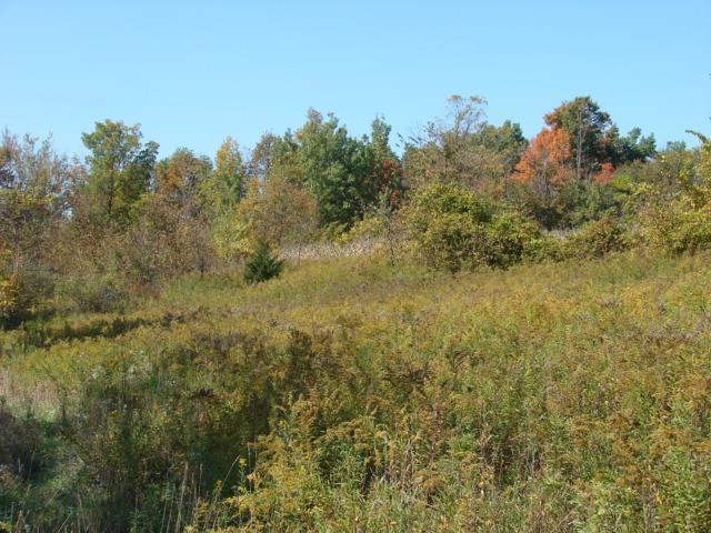 Spotts Road Pittsford, MI 49271 - Photo 7 of 10 Additional Photo