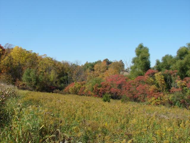 Spotts Road Pittsford, MI 49271 - Photo 10 of 10 Additional Photo