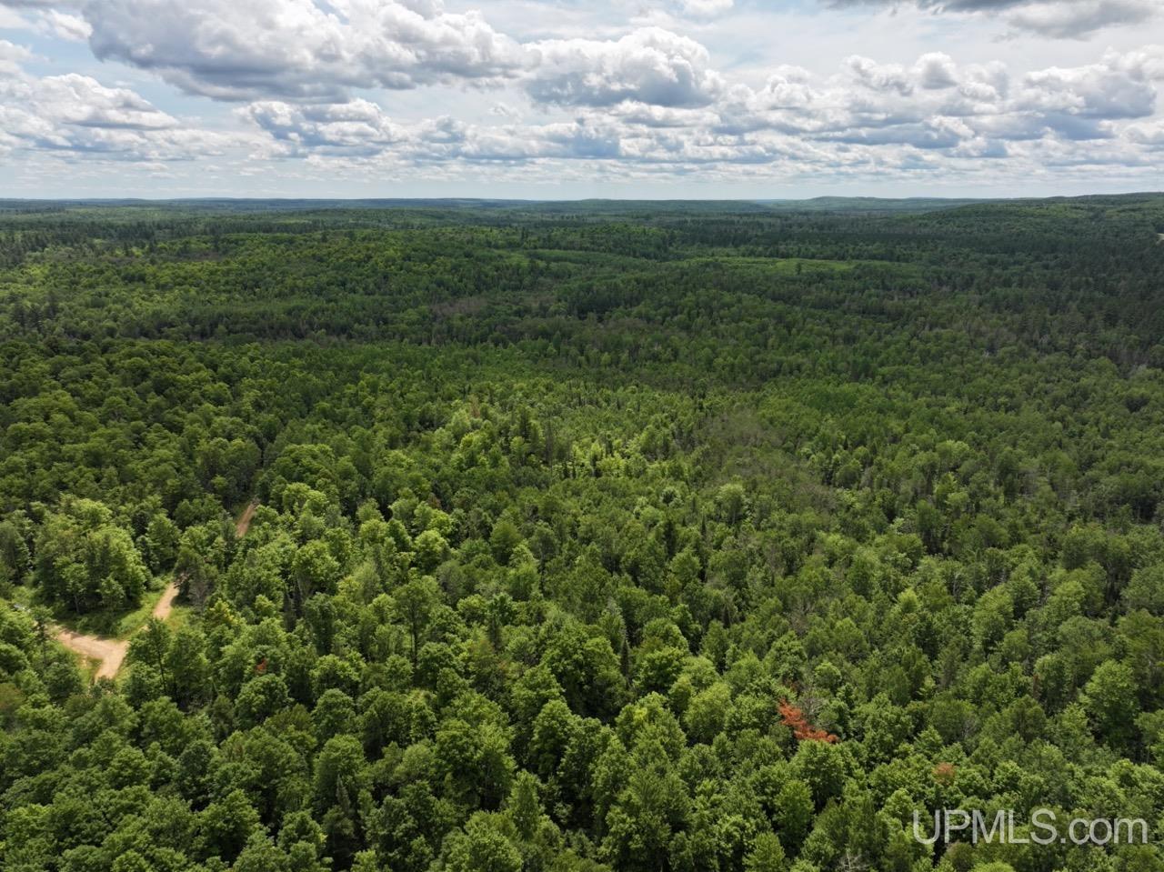 94-acres Off Bates Amasa Road Crystal Falls, MI 49920 - Photo 10 of 38