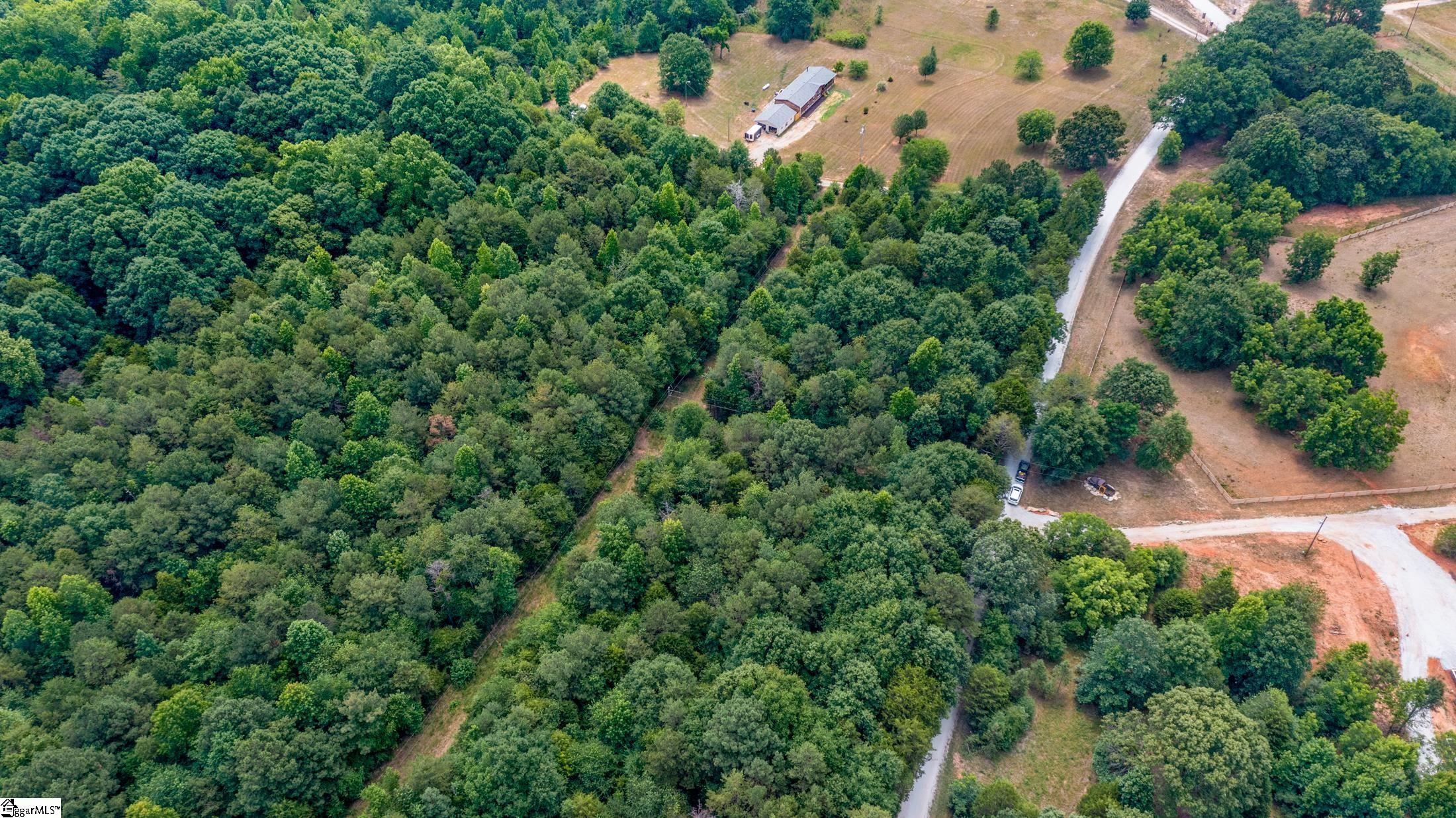 0 Ritchie Road Fountain Inn, SC 29644 - Photo 11 of 24