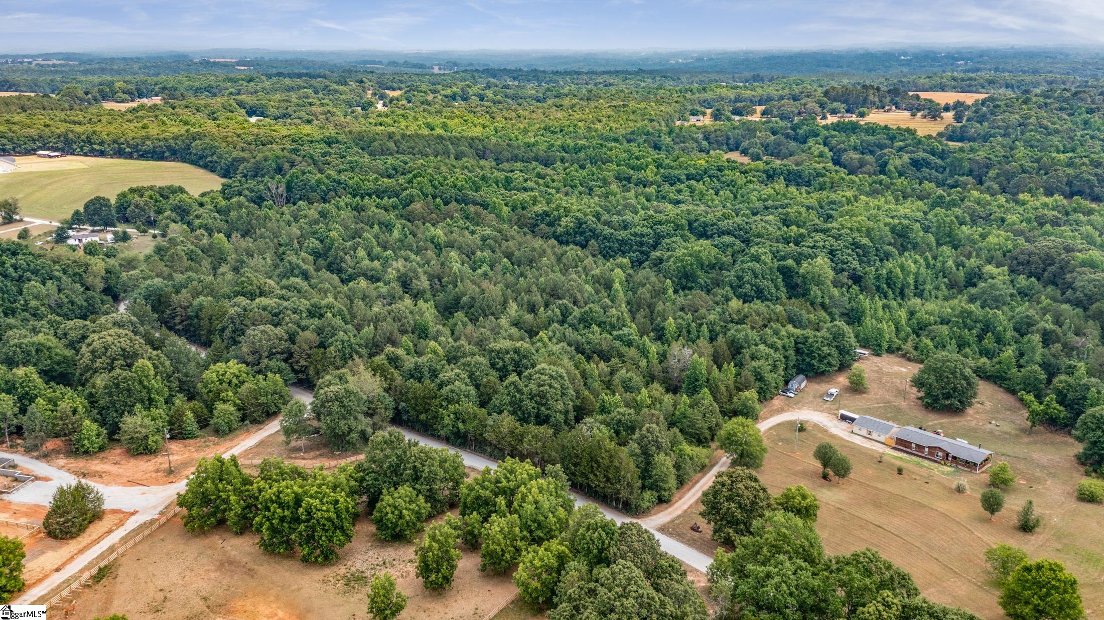 0 Ritchie Road Fountain Inn, SC 29644 - Photo 12 of 24