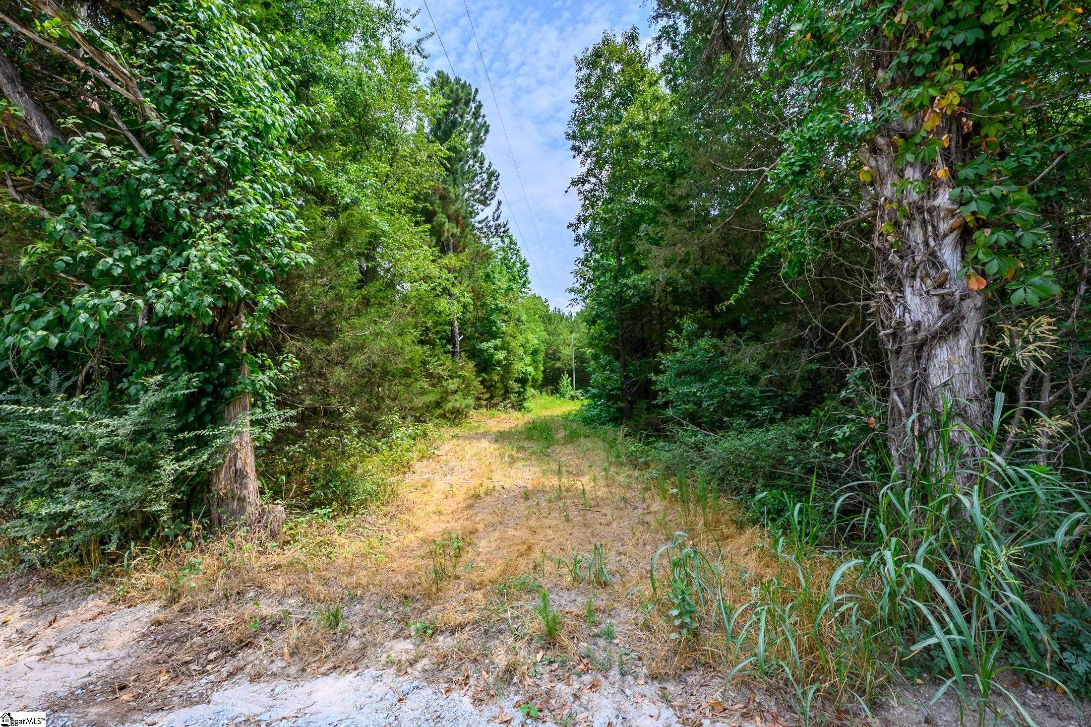 0 Ritchie Road Fountain Inn, SC 29644 - Photo 5 of 24