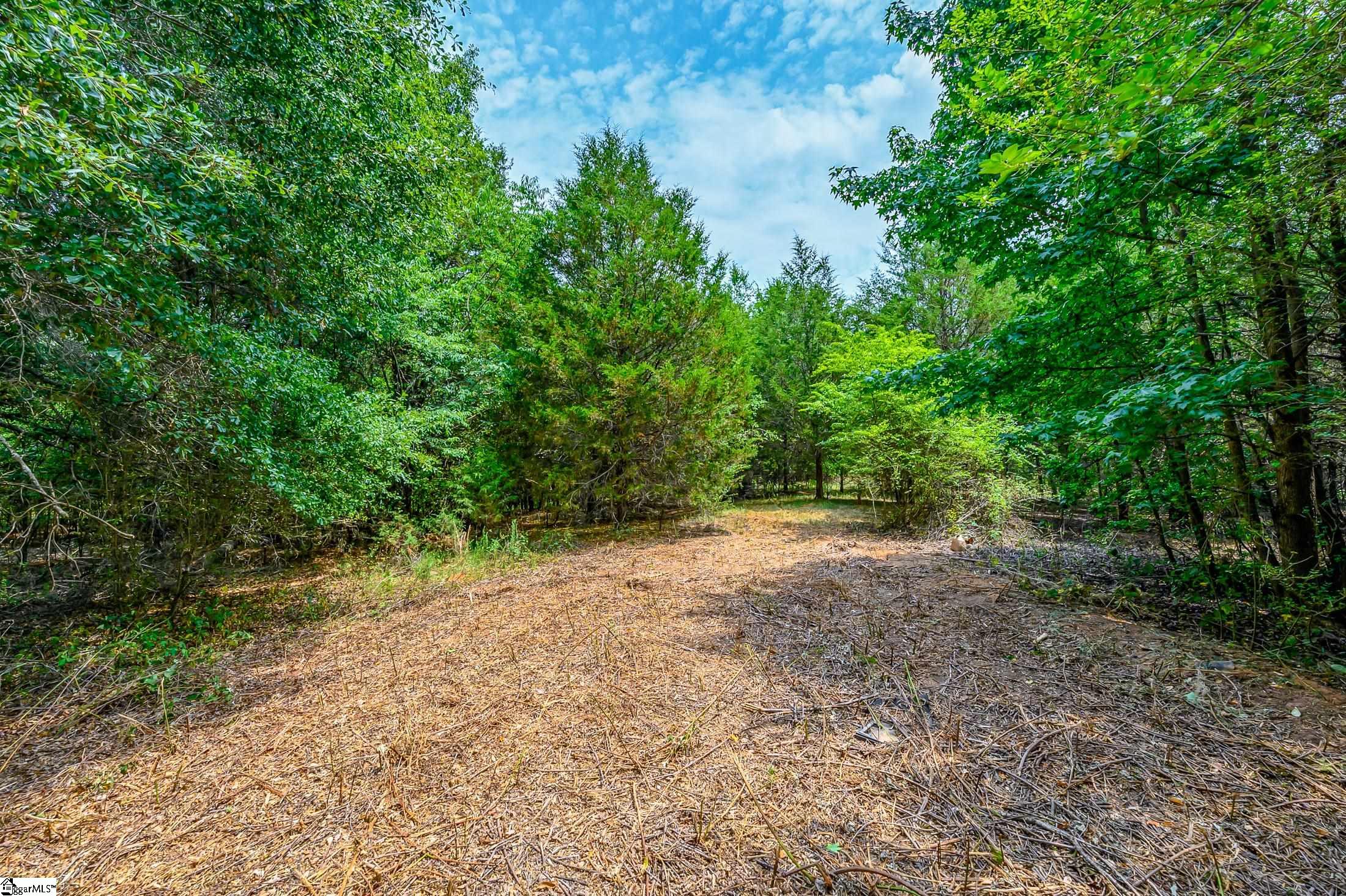 0 Ritchie Road Fountain Inn, SC 29644 - Photo 7 of 24