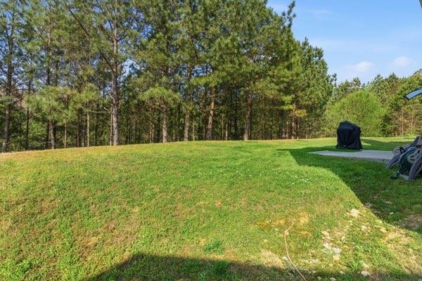 4925 Locherby Drive Fairburn, GA 30213 - Photo 43 of 85 a view of green field with trees in the background
