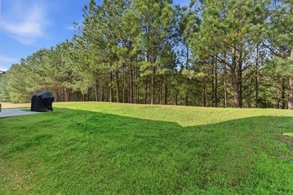 4925 Locherby Drive Fairburn, GA 30213 - Photo 45 of 85 a view of a green field
