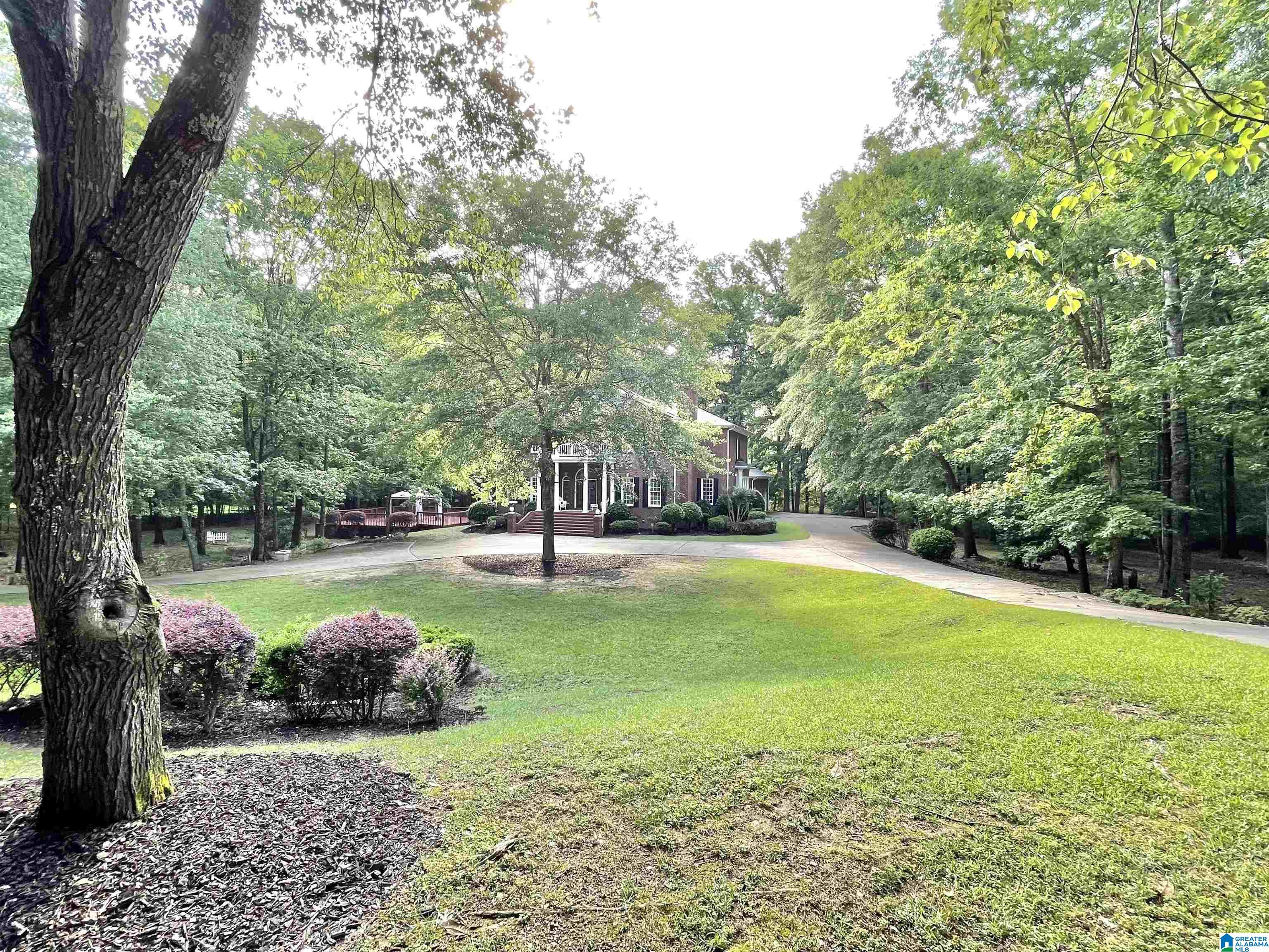 117 Hunset Mill Lane Pelham, AL 35124 - Photo 6 of 59