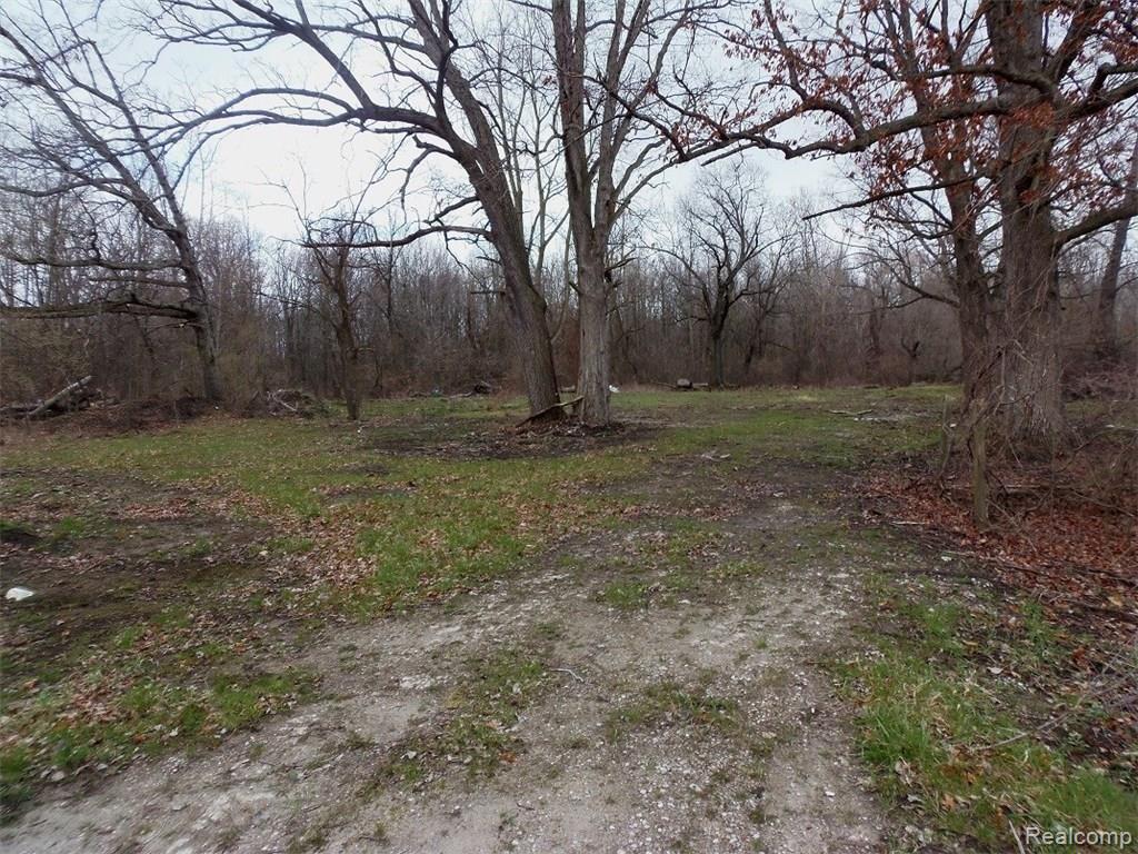 41005 Judd Road Belleville, MI 48111 - Photo 1 of 18