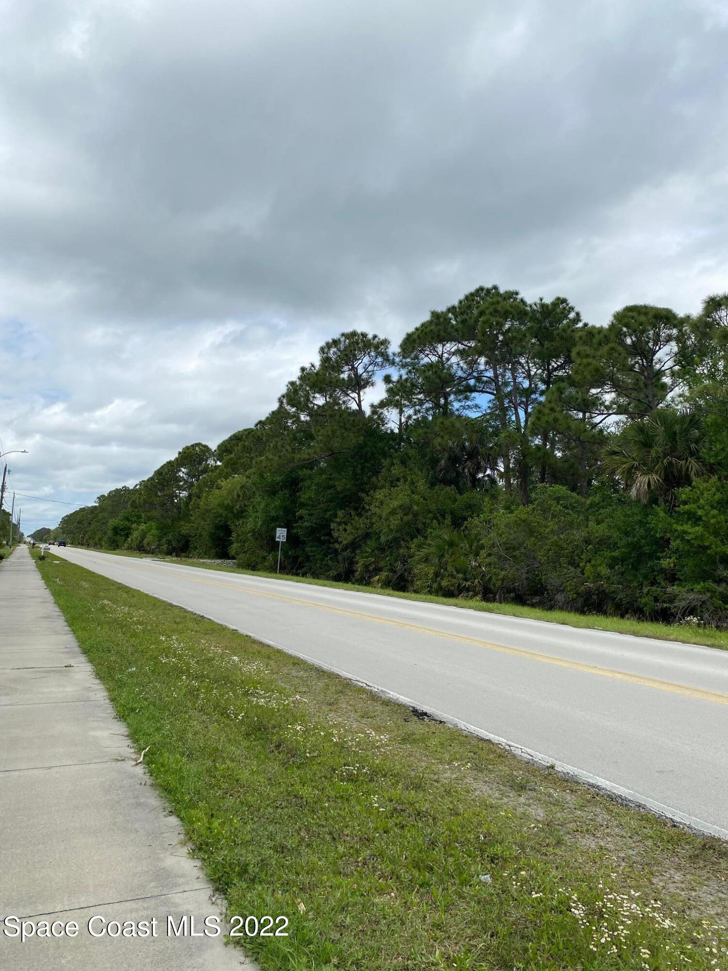 a view of a pathway both side of grassy field with shrub