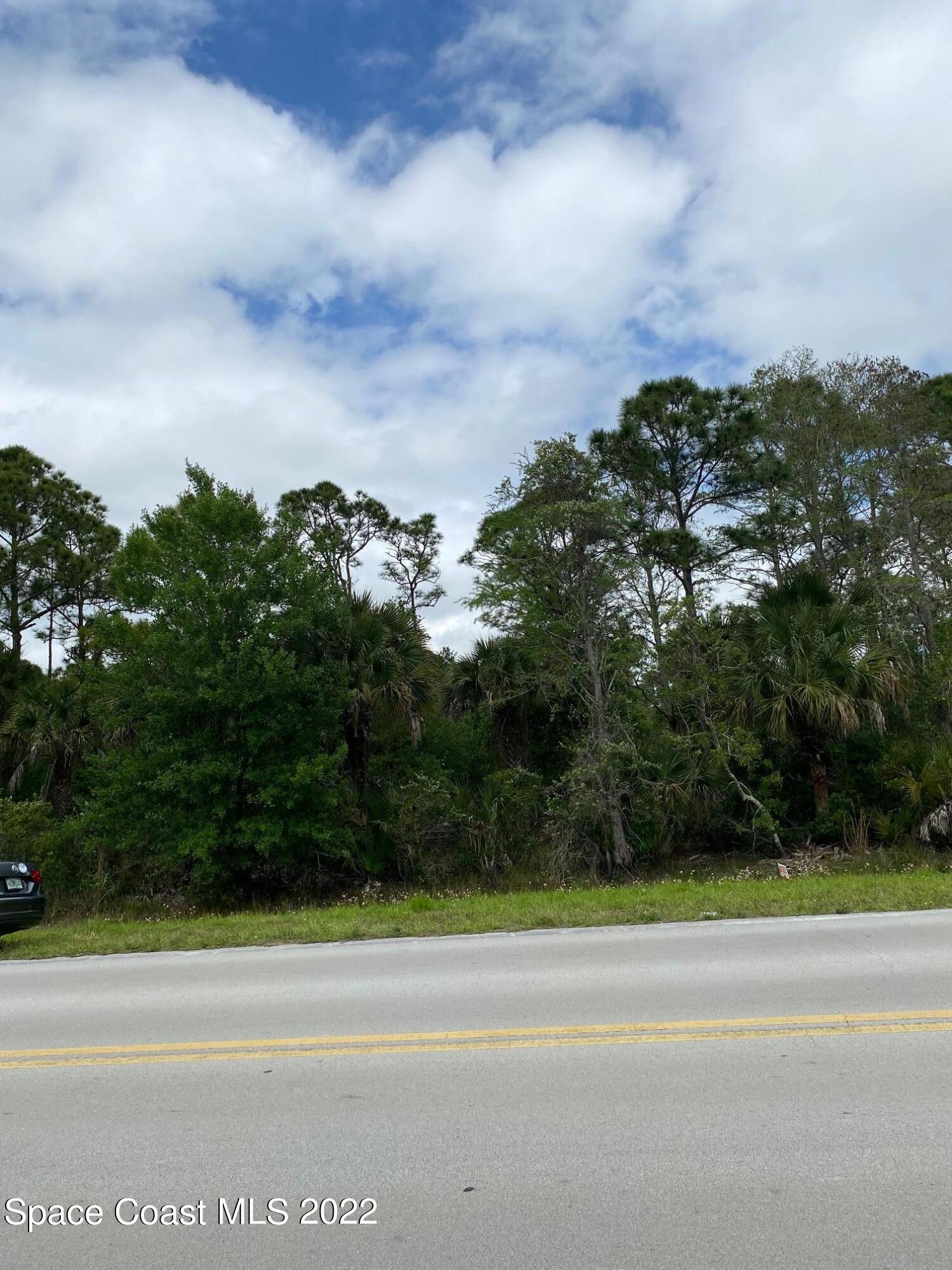 0 Vacant Road Grant Valkaria, FL 32949 - Photo 3 of 7 a view of a yard