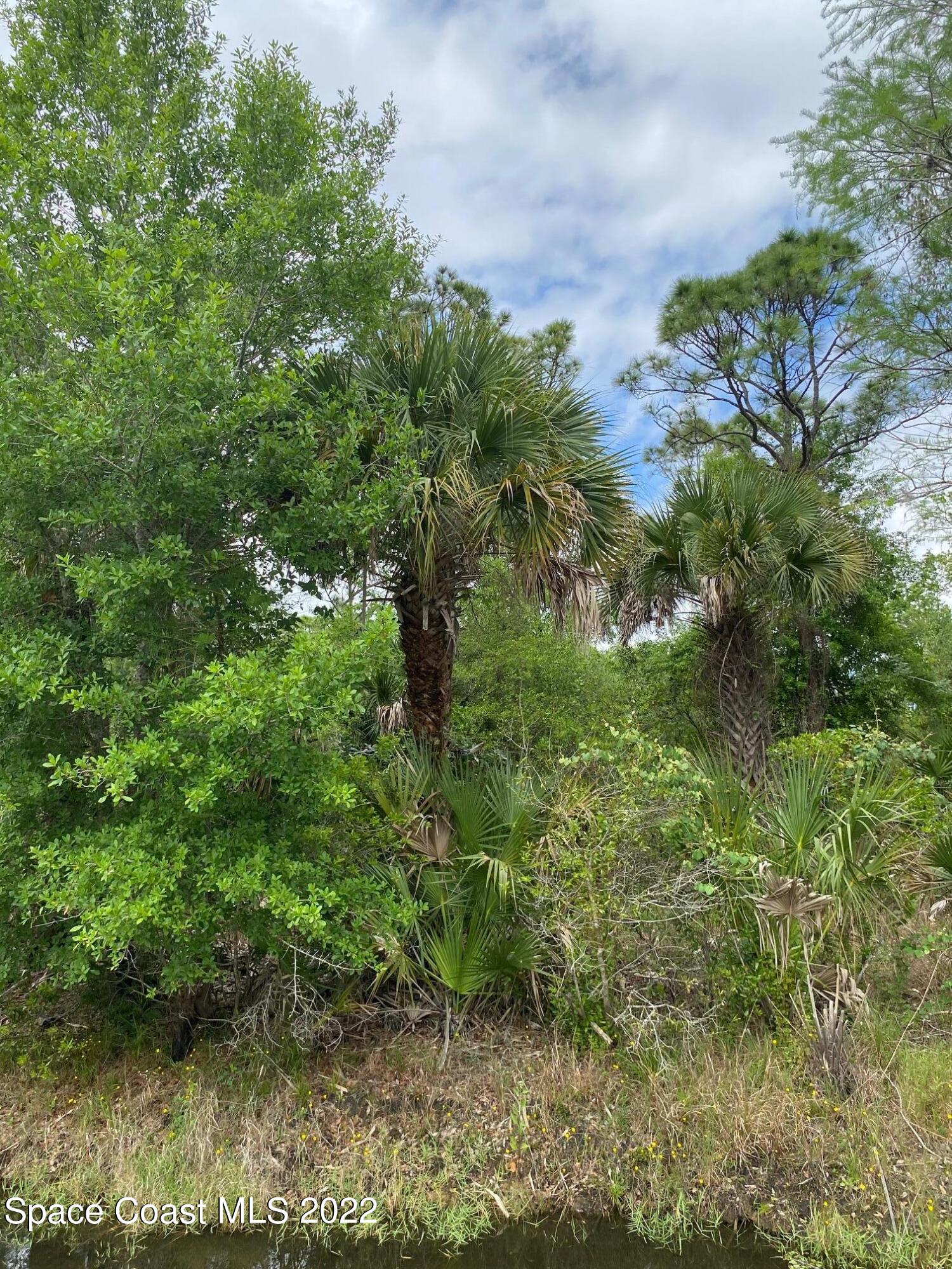 0 Vacant Road Grant Valkaria, FL 32949 - Photo 7 of 7 a view of a garden