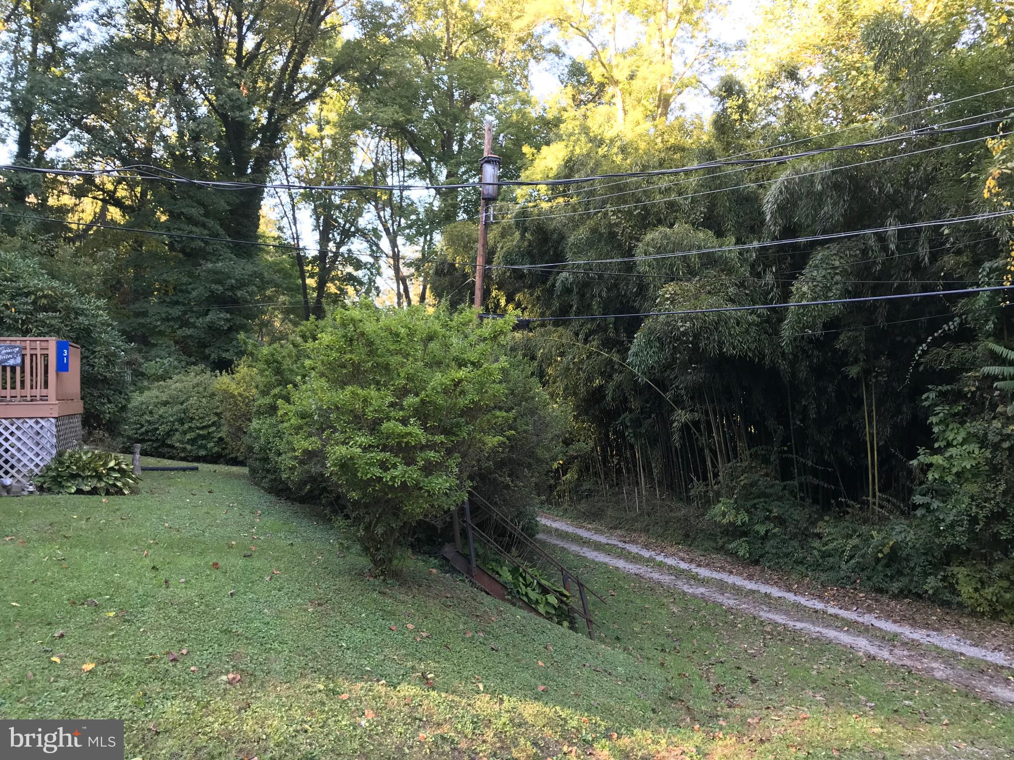 31 Irwin Road Airville, PA 17302 - Photo 3 of 35 View across road - Bamboo grove