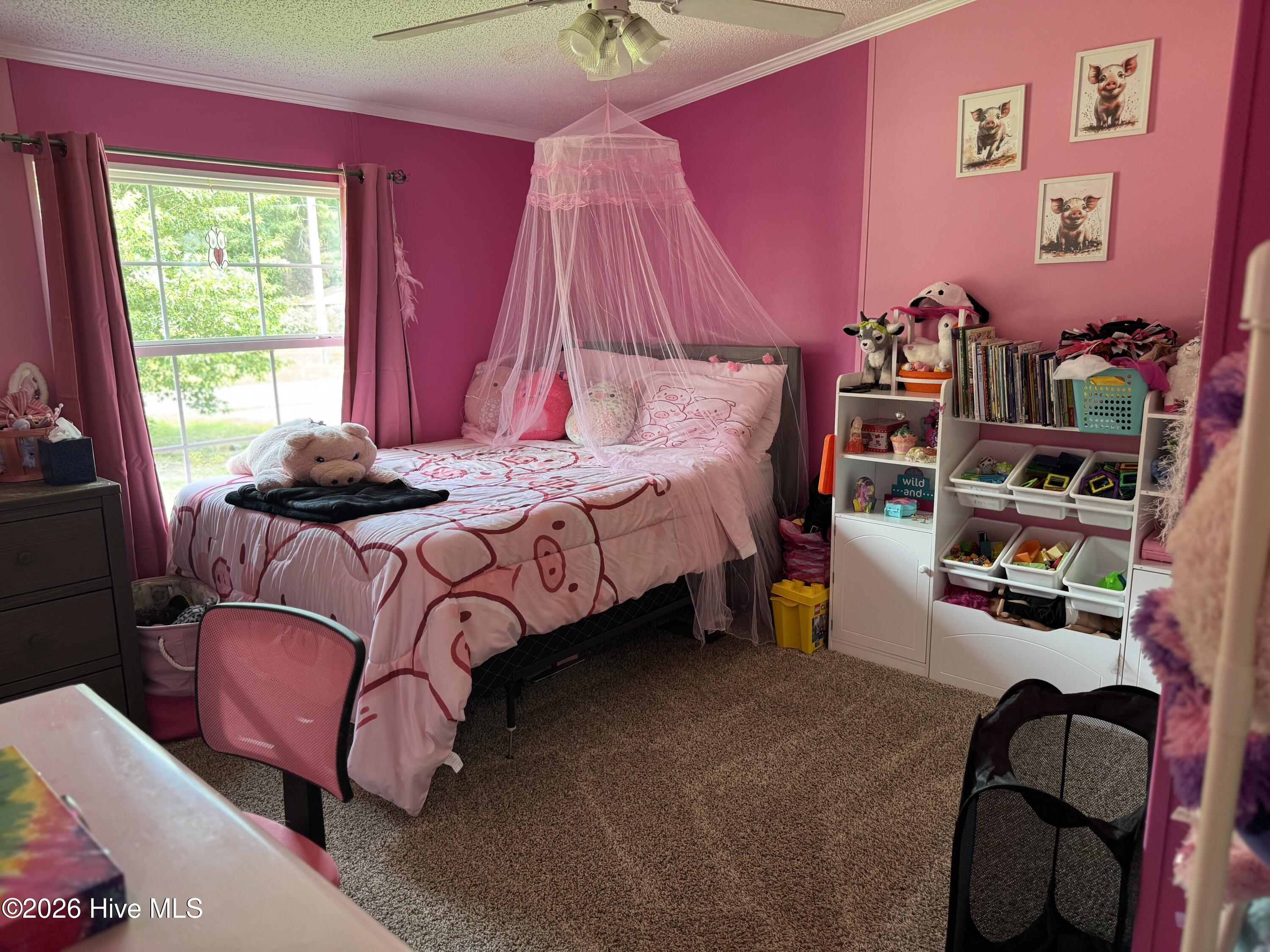 177 Ward's Road Knotts Island, NC 27950 - Photo 31 of 45
