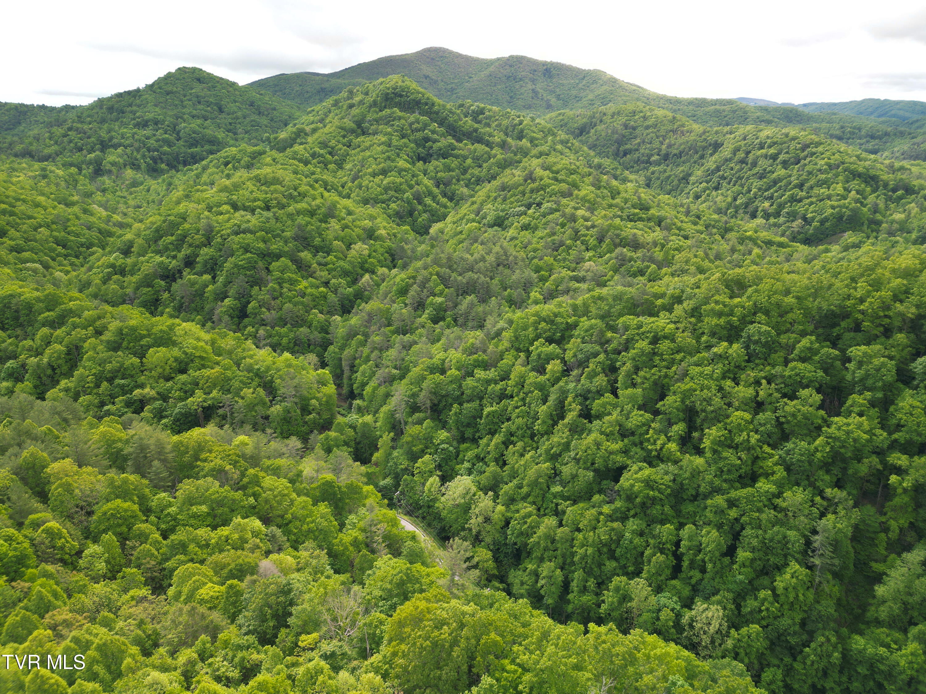 Tbd Poga Road, Unit 3 Butler, TN 37640 - Photo 4 of 12 Butler Drone-JF-4