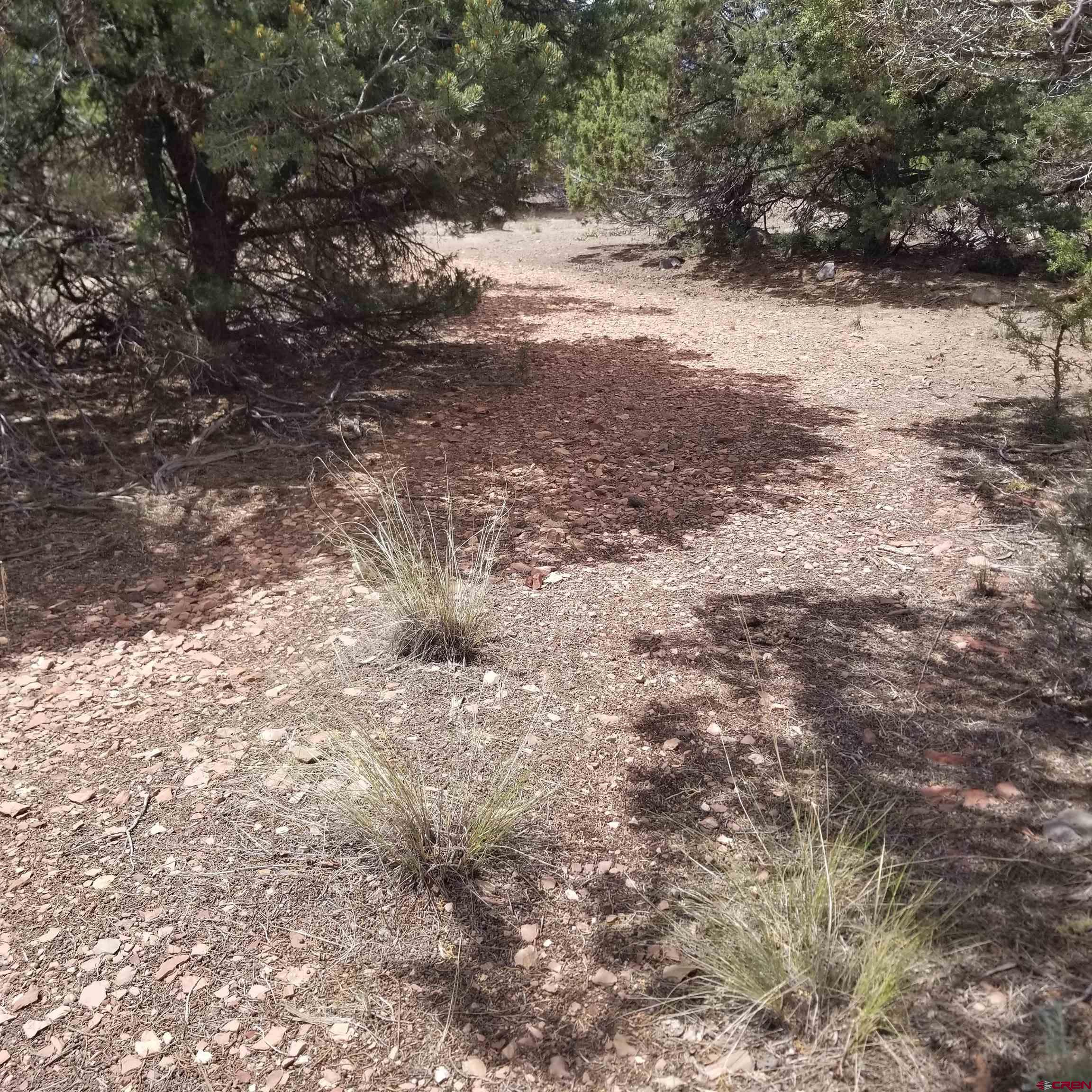 21852 Uintah Road Cedaredge, CO 81413 - Photo 12 of 23