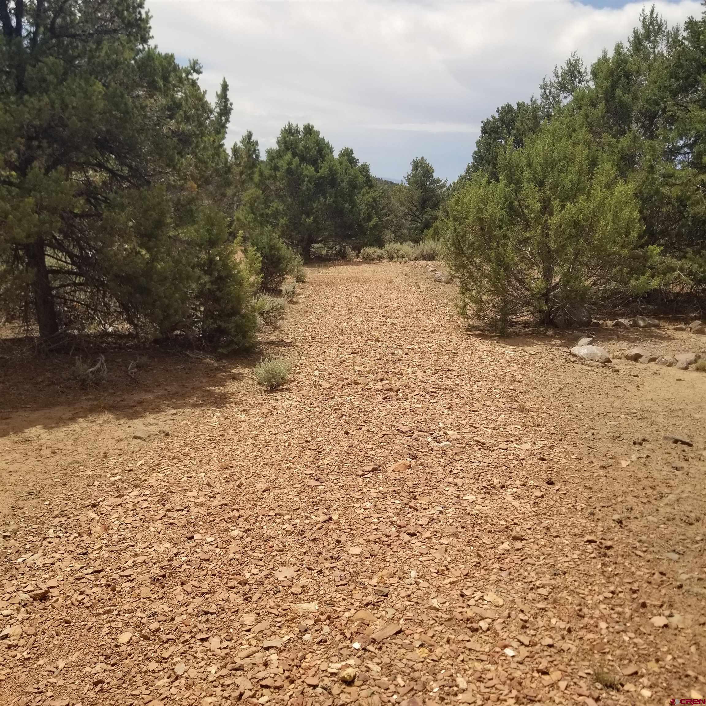 21852 Uintah Road Cedaredge, CO 81413 - Photo 13 of 23