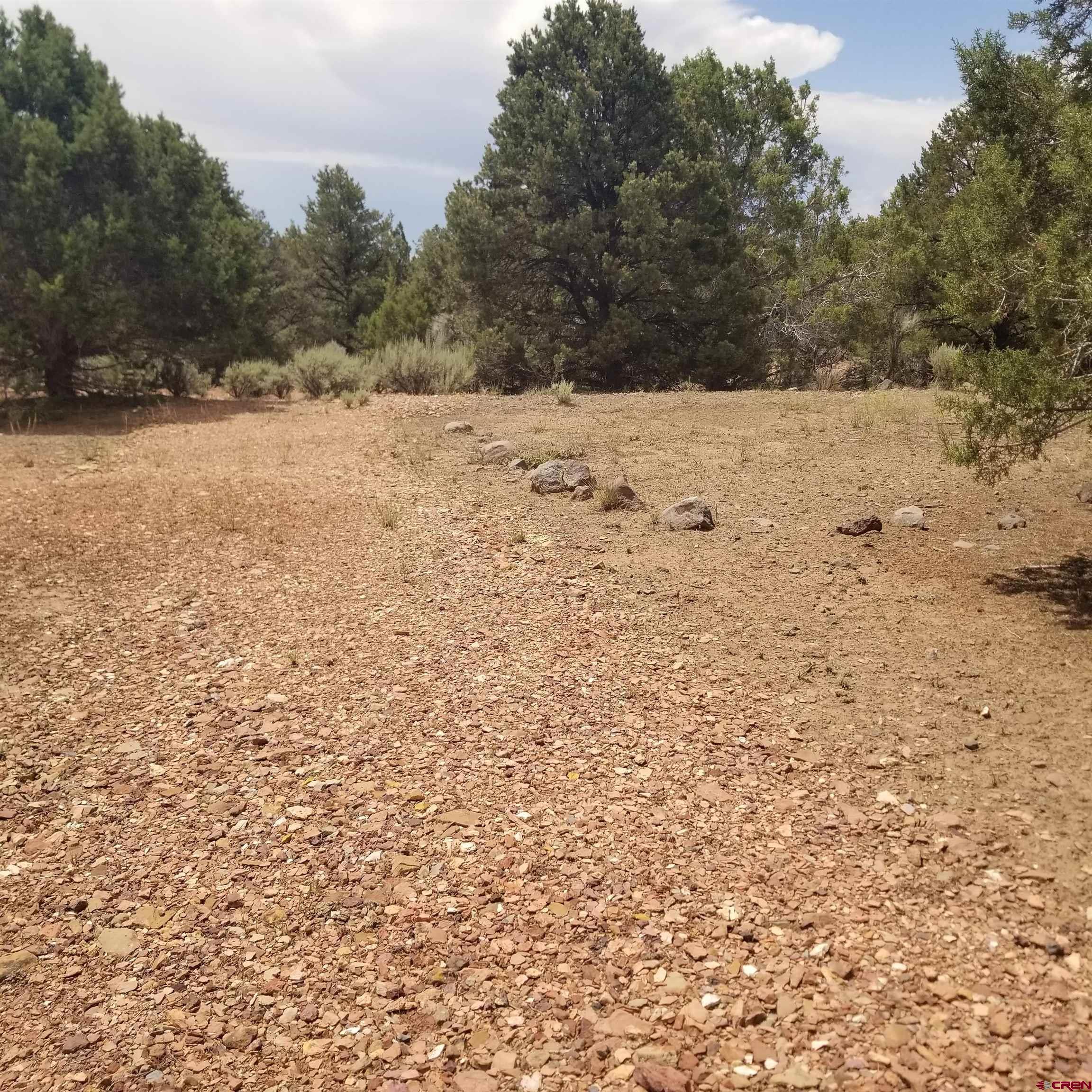 21852 Uintah Road Cedaredge, CO 81413 - Photo 14 of 23