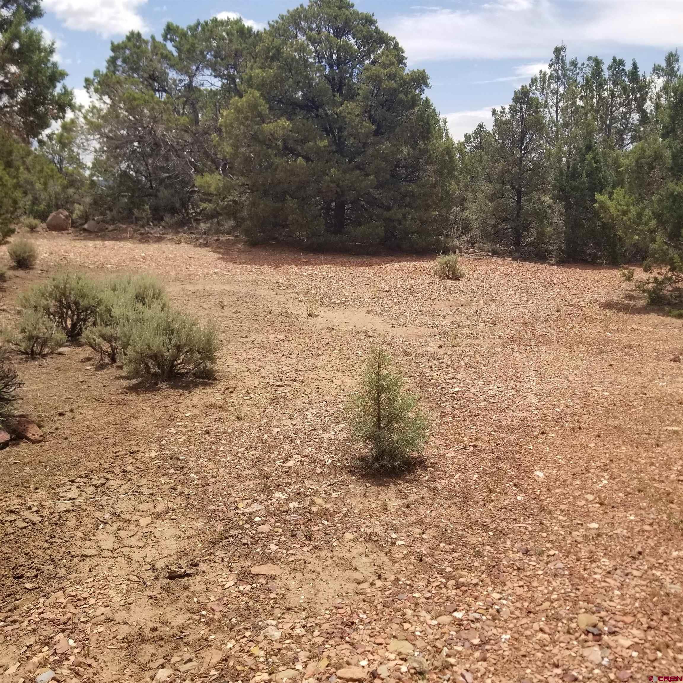 21852 Uintah Road Cedaredge, CO 81413 - Photo 15 of 23