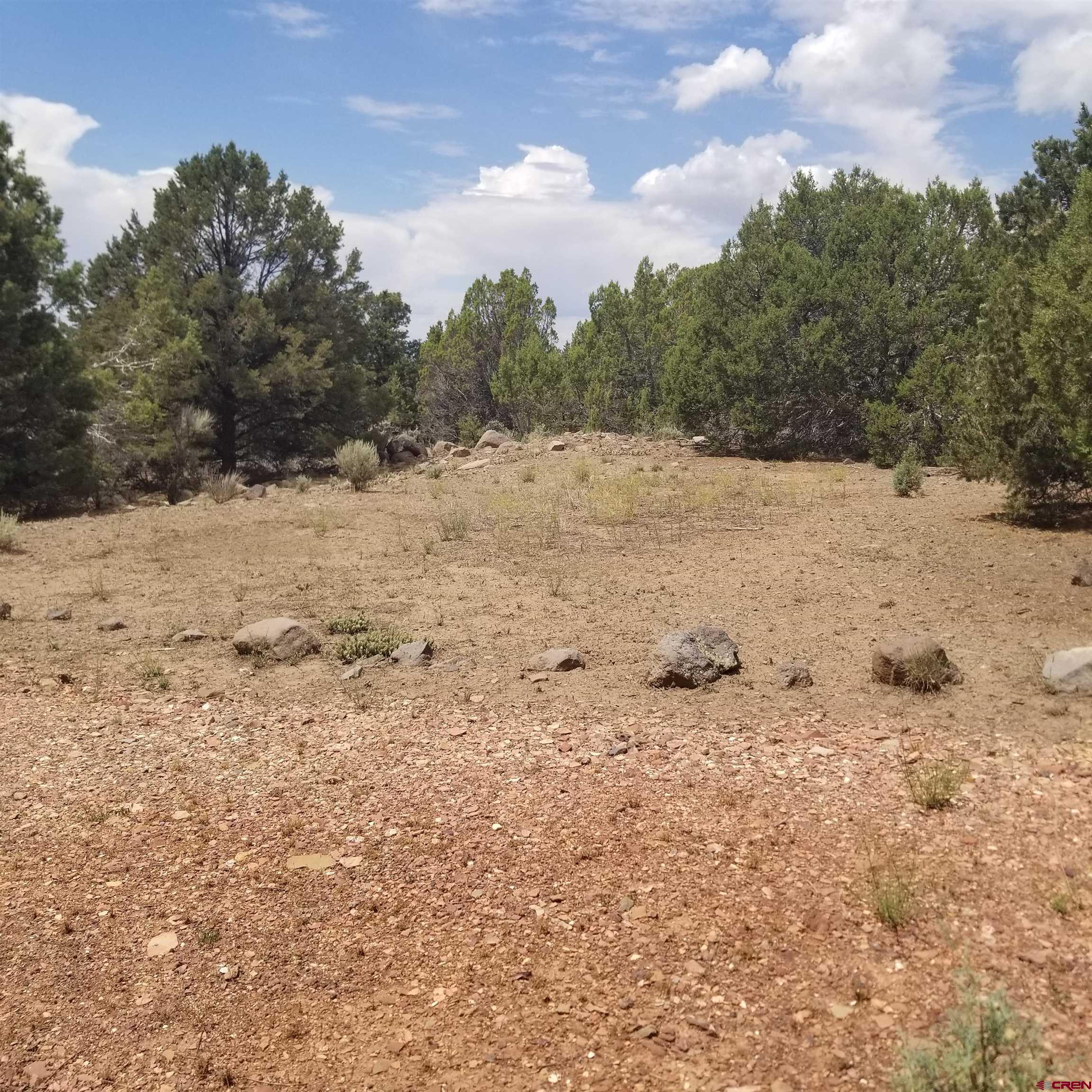 21852 Uintah Road Cedaredge, CO 81413 - Photo 16 of 23