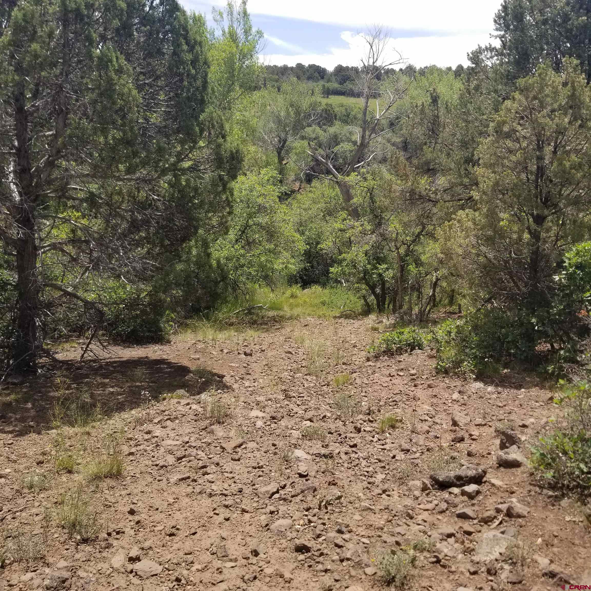 21852 Uintah Road Cedaredge, CO 81413 - Photo 19 of 23