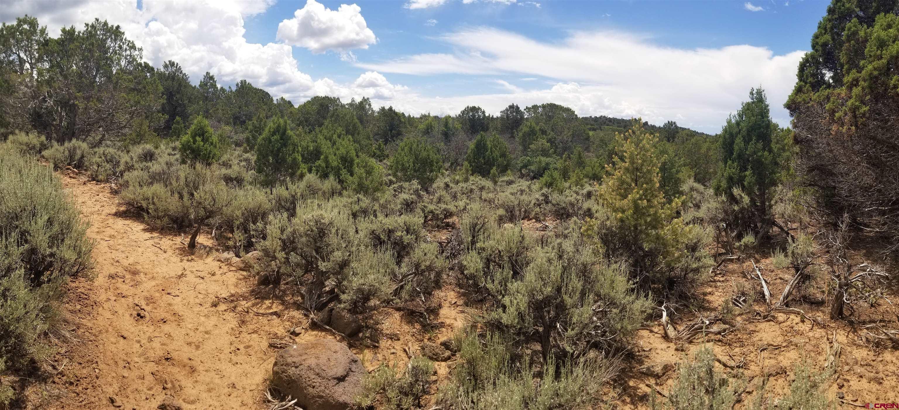 21852 Uintah Road Cedaredge, CO 81413 - Photo 20 of 23