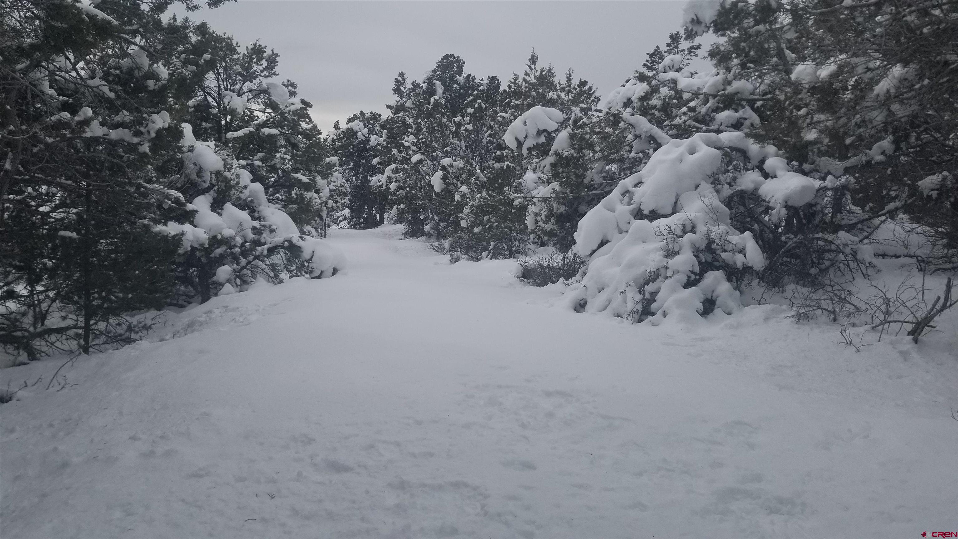 21852 Uintah Road Cedaredge, CO 81413 - Photo 21 of 23