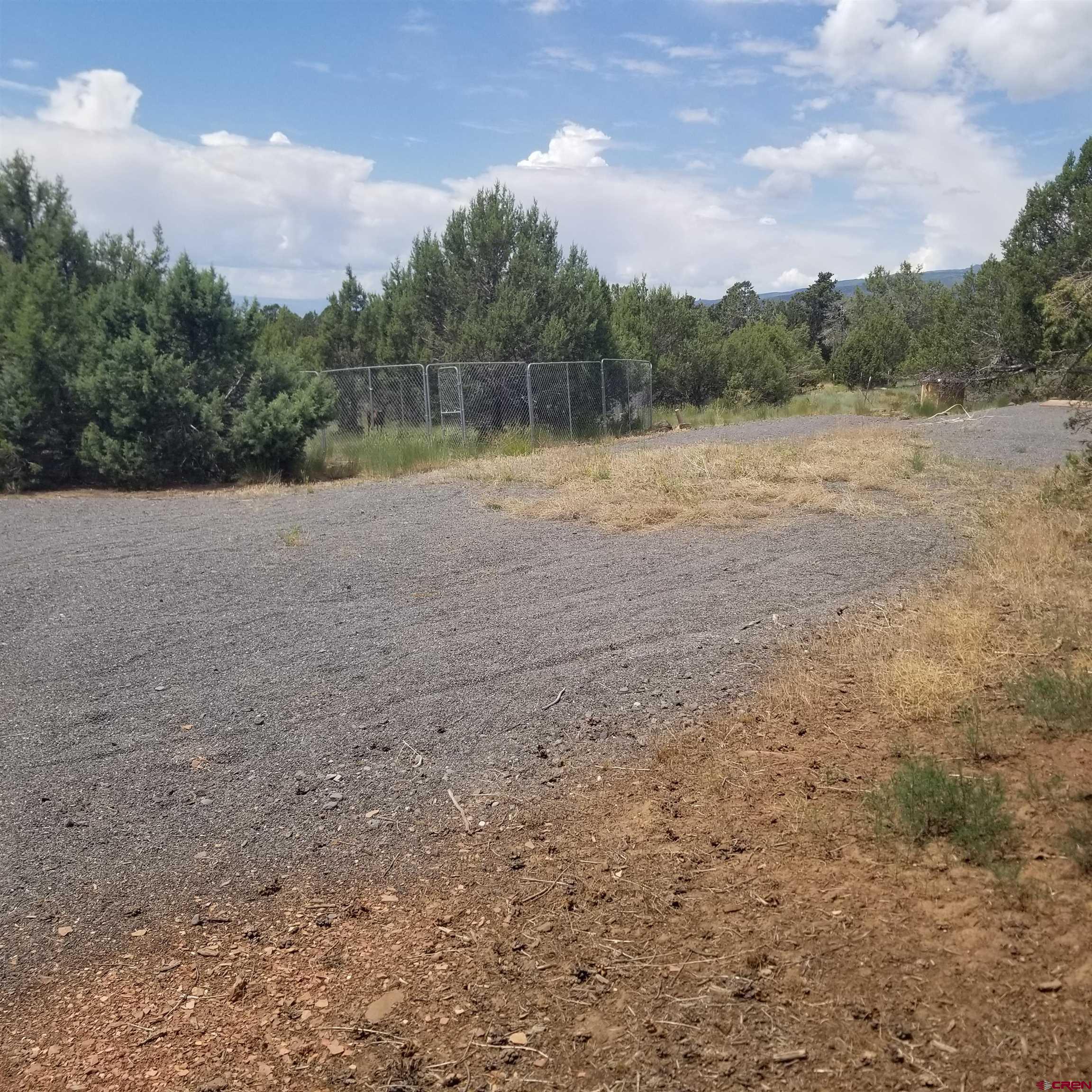 21852 Uintah Road Cedaredge, CO 81413 - Photo 5 of 23