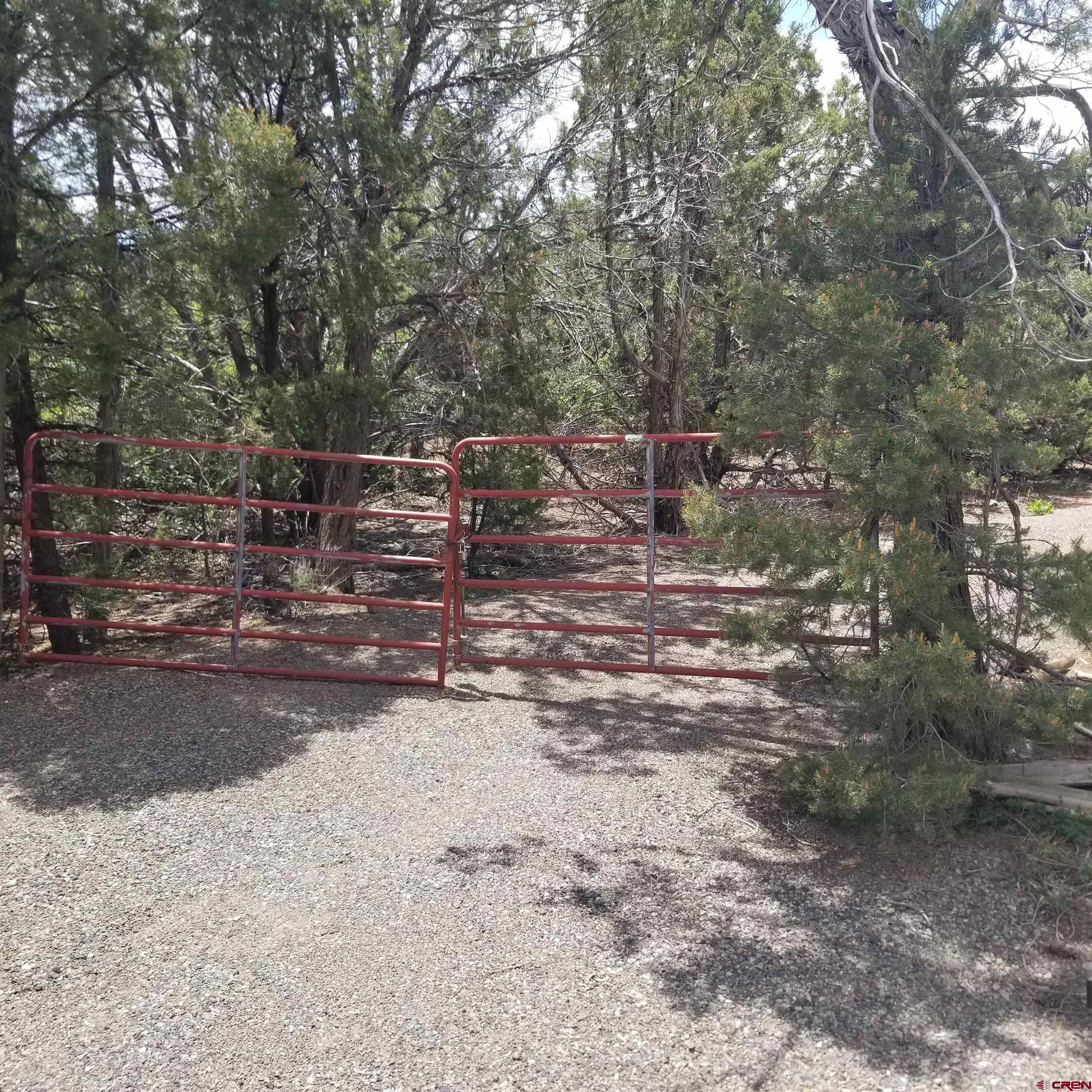 21852 Uintah Road Cedaredge, CO 81413 - Photo 6 of 23