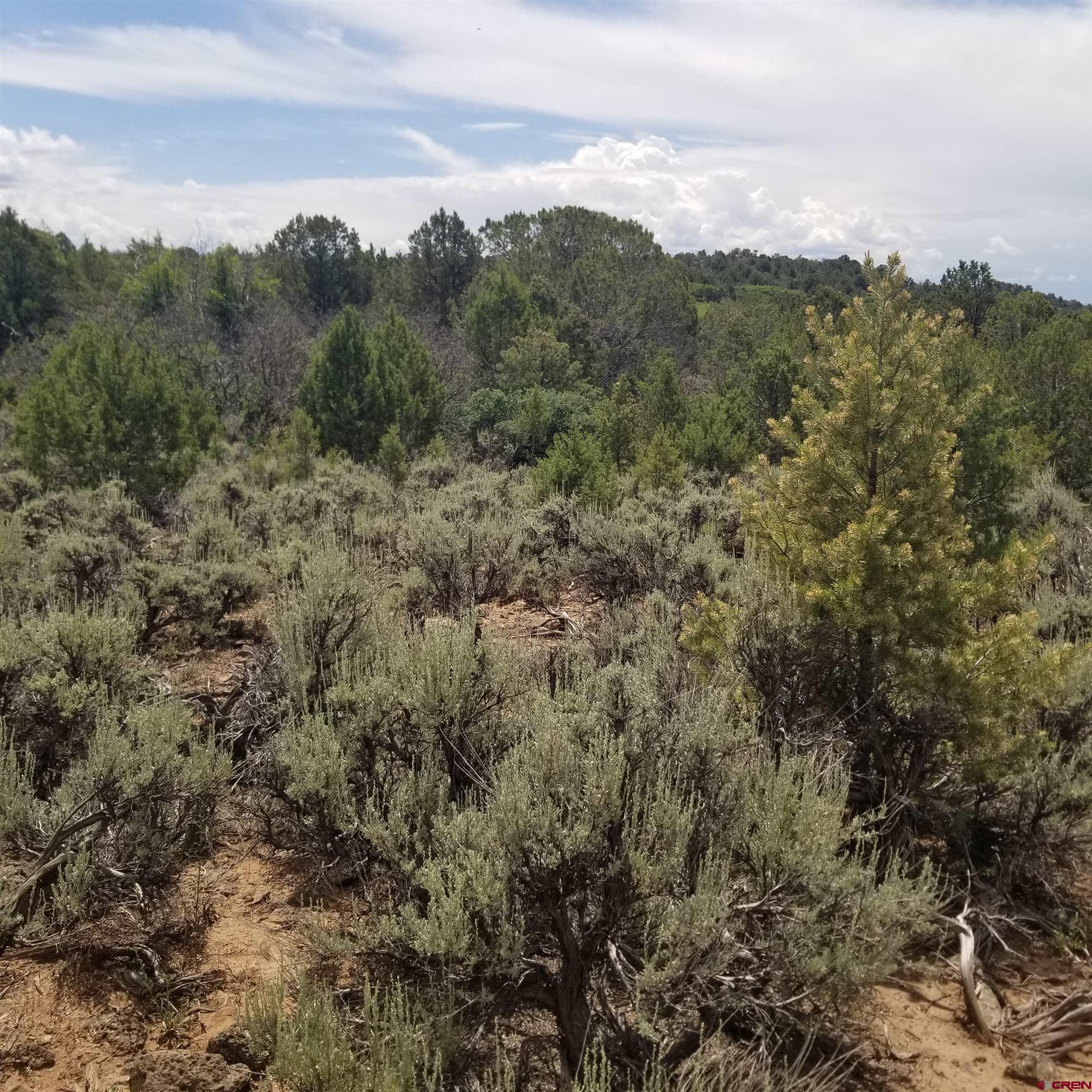 21852 Uintah Road Cedaredge, CO 81413 - Photo 8 of 23