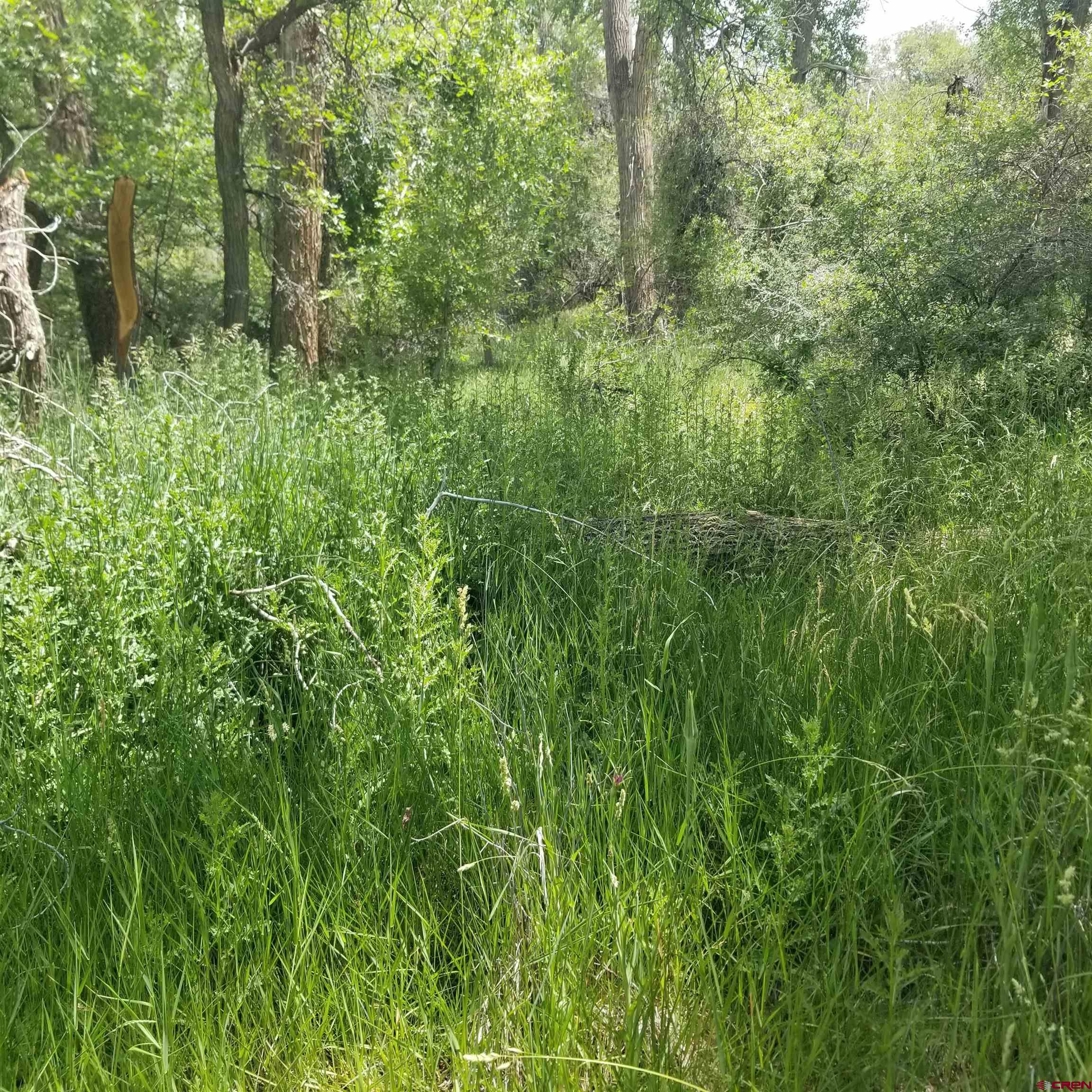 21852 Uintah Road Cedaredge, CO 81413 - Photo 9 of 23