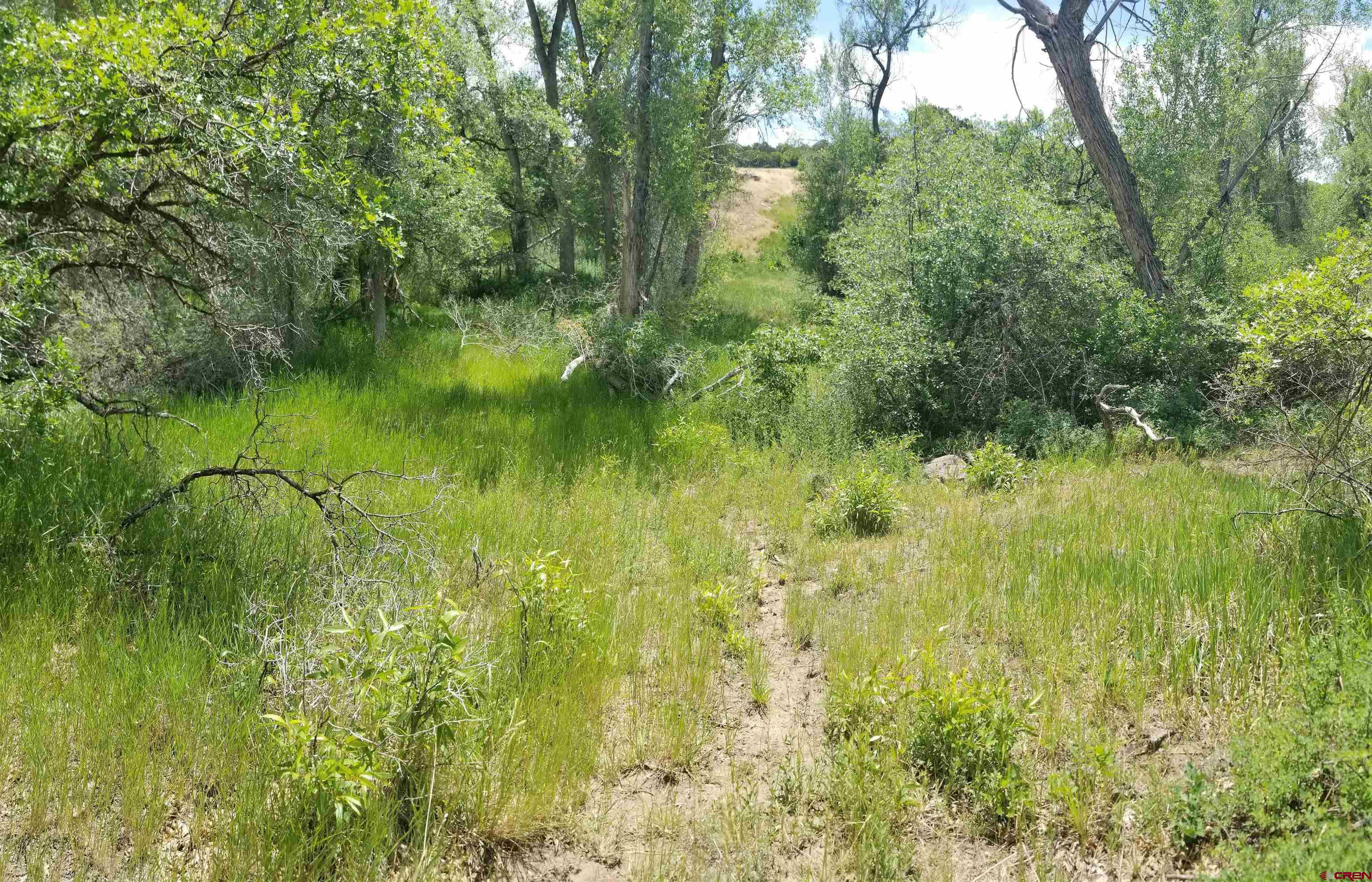 21852 Uintah Road Cedaredge, CO 81413 - Photo 10 of 23