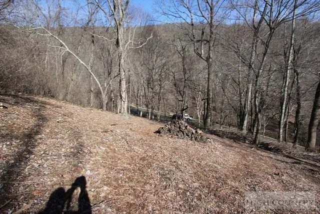 $19,000 | Lot 117 Point Lookout Lane, Independence, VA 24348