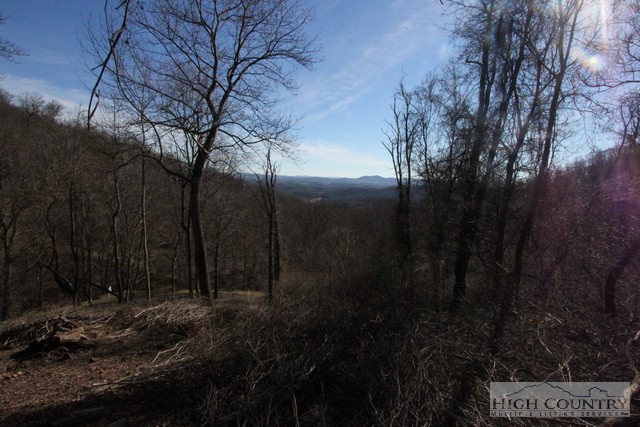 Lot 117 Point Lookout Lane Independence, VA 24348 - Photo 12 of 17