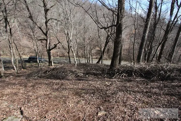 $19,000 | Lot 117 Point Lookout Lane, Independence, VA 24348