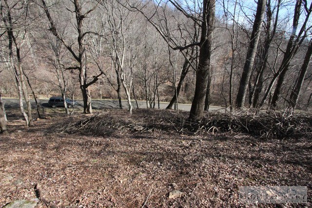 Lot 117 Point Lookout Lane Independence, VA 24348 - Photo 13 of 17