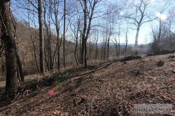 $19,000 | Lot 117 Point Lookout Lane, Independence, VA 24348