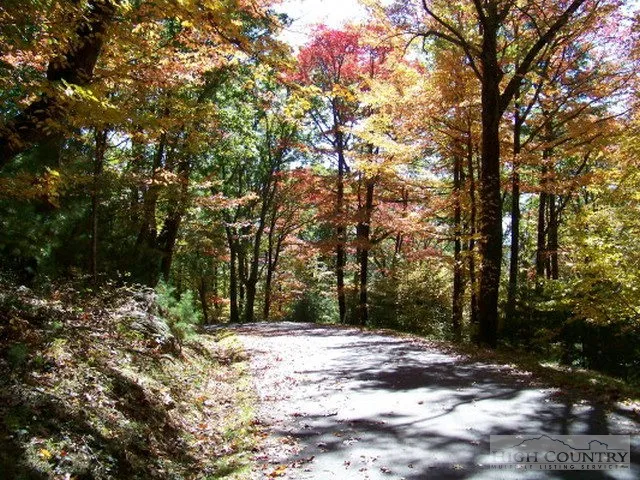 $19,000 | Lot 117 Point Lookout Lane, Independence, VA 24348