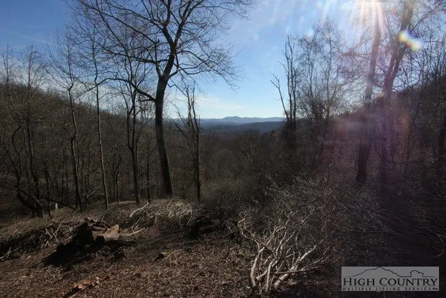 $19,000 | Lot 117 Point Lookout Lane, Independence, VA 24348