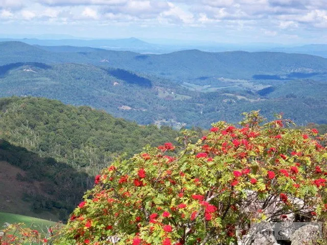 $19,000 | Lot 117 Point Lookout Lane, Independence, VA 24348