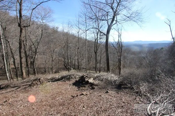 $19,000 | Lot 117 Point Lookout Lane, Independence, VA 24348