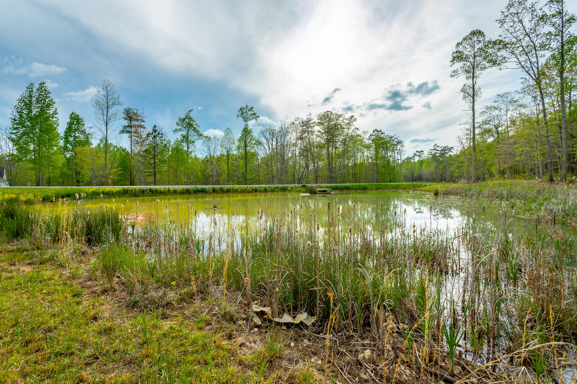 0 Raulston Falls Drive, Unit JF126 Jasper, TN 37347 - Photo 16 of 93 Raulston Falls Road Lot JF126 HD-24
