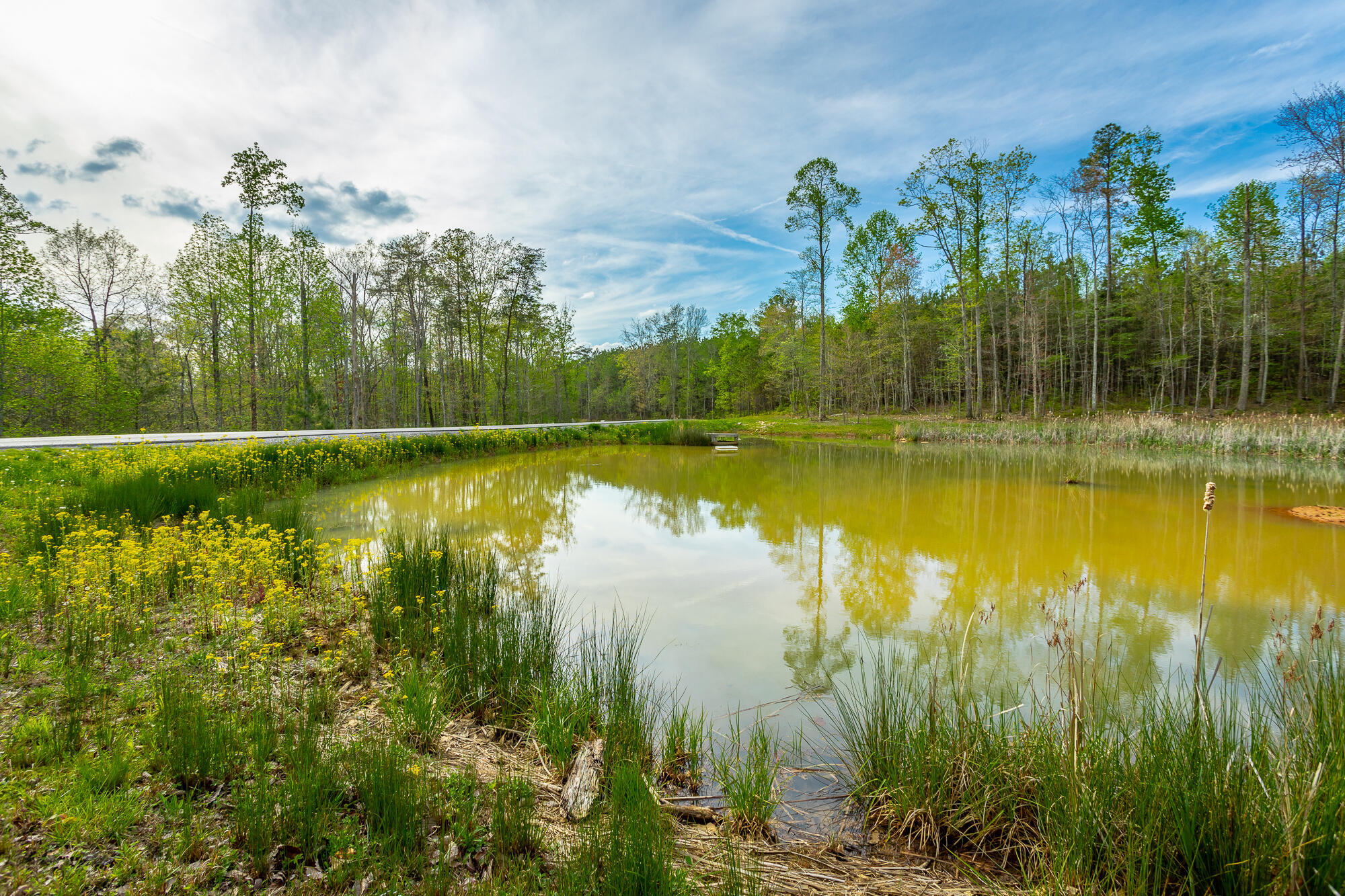 0 Raulston Falls Drive, Unit JF126 Jasper, TN 37347 - Photo 17 of 93 Raulston Falls Road Lot JF126 HD-23