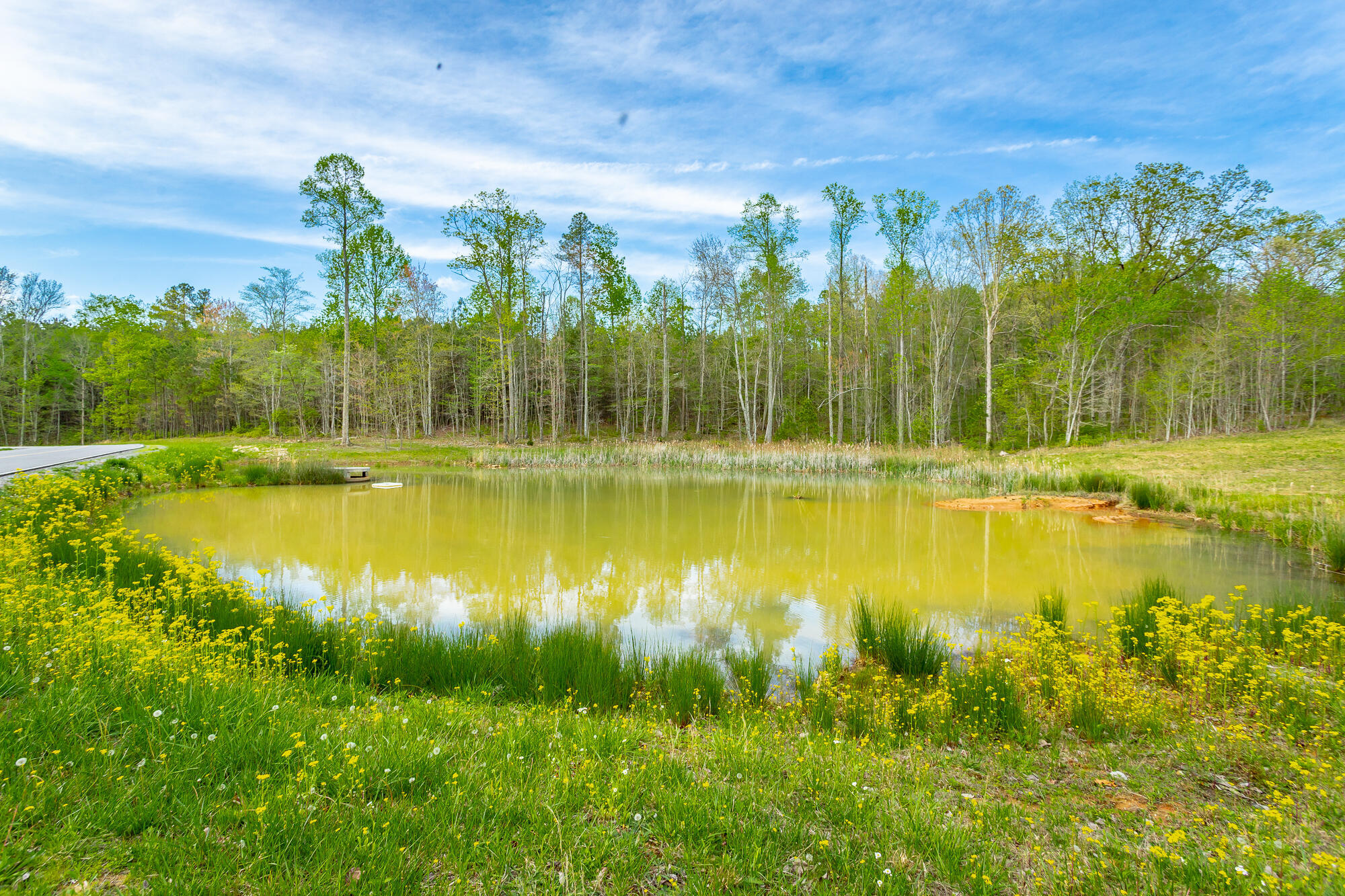 0 Raulston Falls Drive, Unit JF126 Jasper, TN 37347 - Photo 5 of 93 Raulston Falls Road Lot JF126 HD-9
