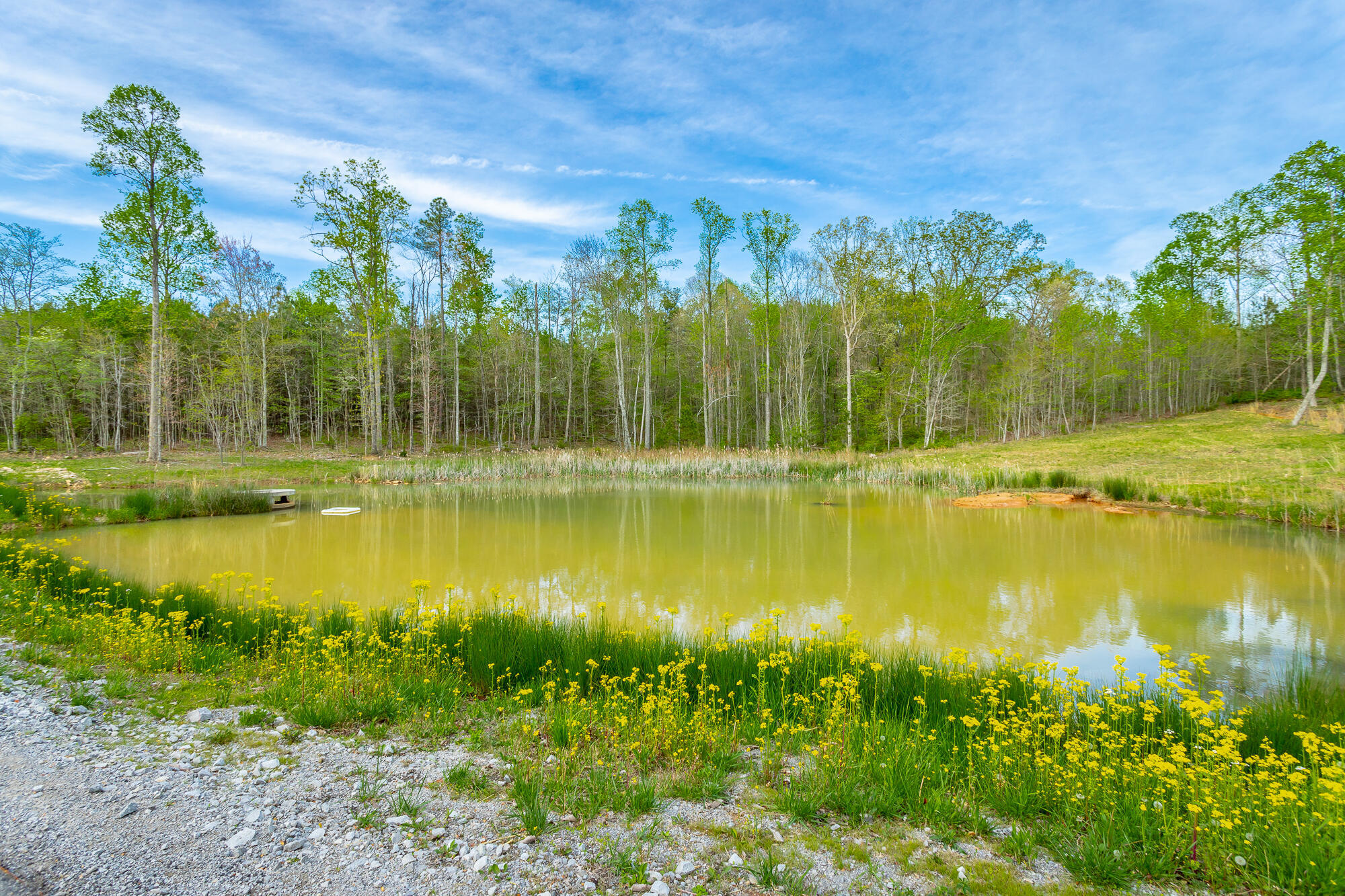 0 Raulston Falls Drive, Unit JF126 Jasper, TN 37347 - Photo 10 of 93 Raulston Falls Road Lot JF126 HD-7