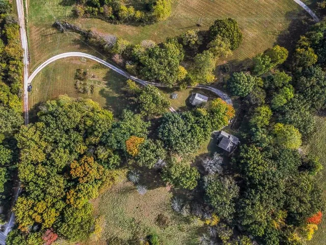 a view of a yard with plants