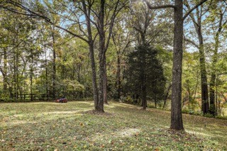 1073 Rector Lane Springfield, TN 37172 - Photo 6 of 25 a view of outdoor space with trees
