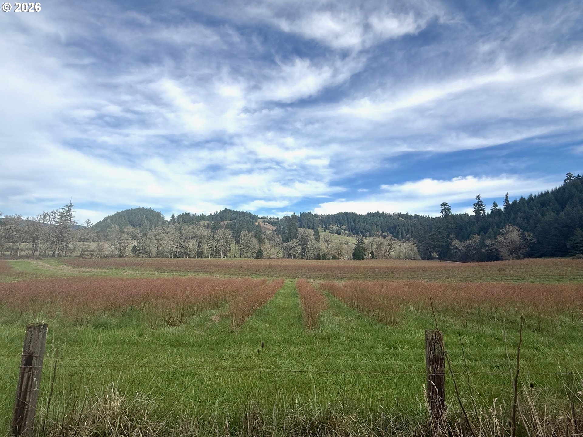 355 Banks Creek Road Sutherlin, OR 97479 - Photo 12 of 48